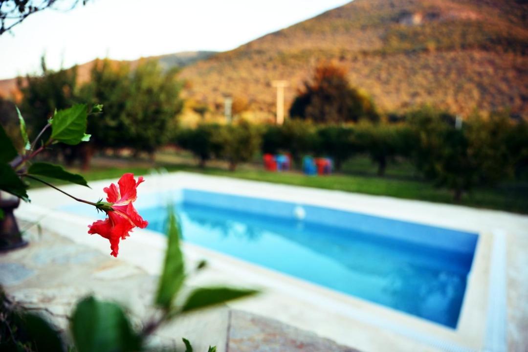 Pir Efes Konaklari *