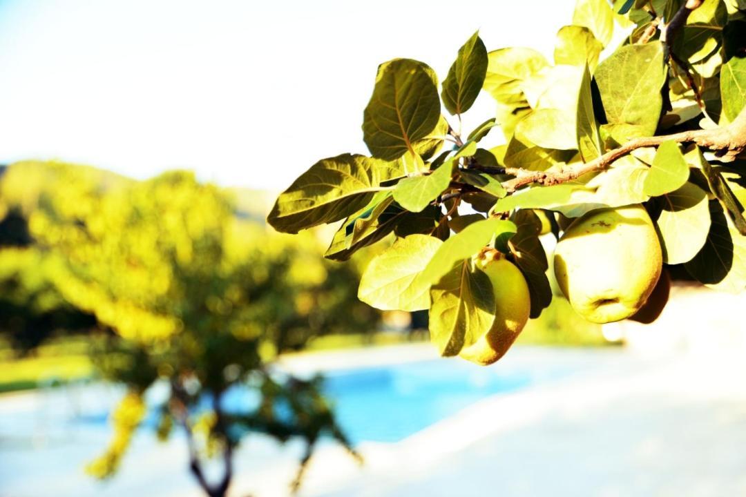 Pir Efes * İzmir