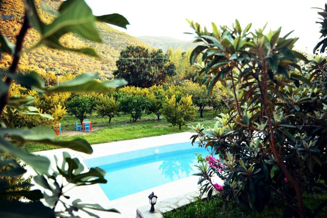 Pir Efes Otel *