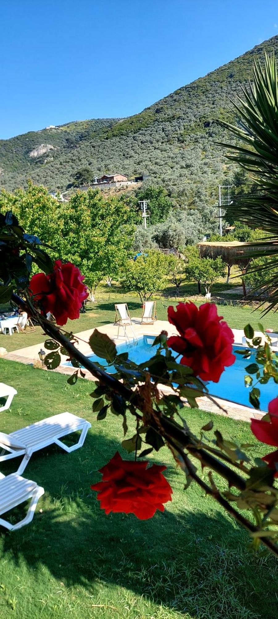 Pir Efes Otel İzmir